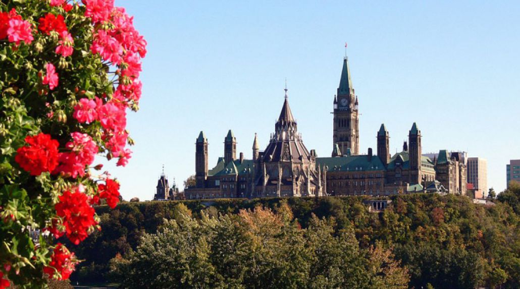 Porter Airlines to Ottawa